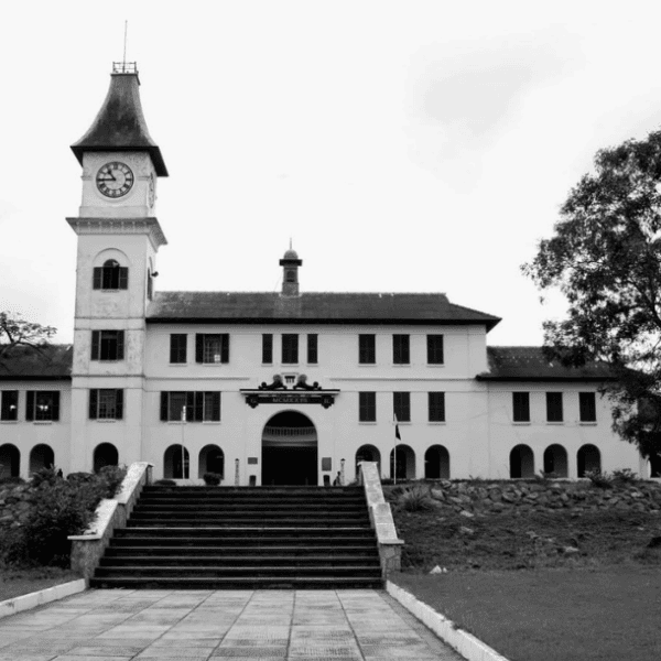 after wassce starter pack