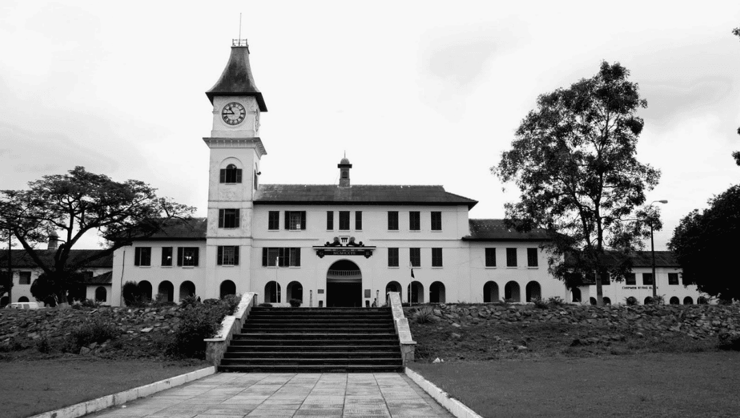 after wassce starter pack